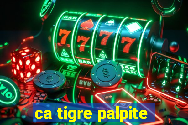 ca tigre palpite